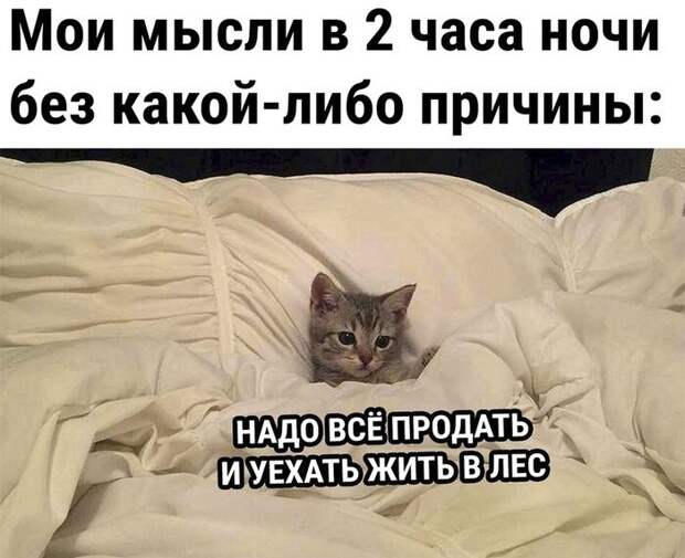 Понедельник, и как его пережить Понедельник, и как его пережить