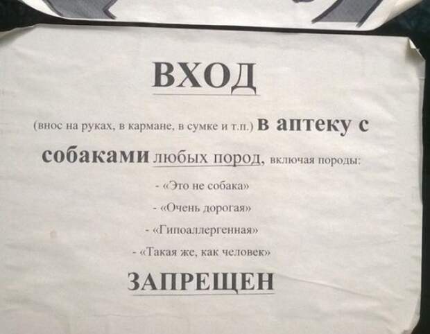 Смешные объявления, приколы в рекламе