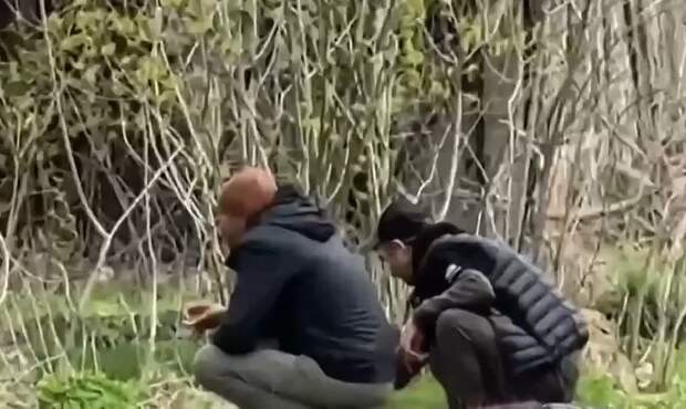 Тем временем,в Пролетарском районе Донецка собирают грибы