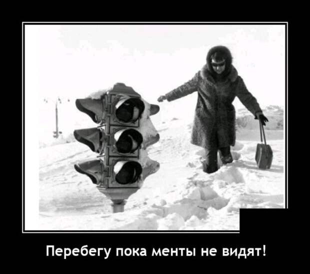 Демотиваторы