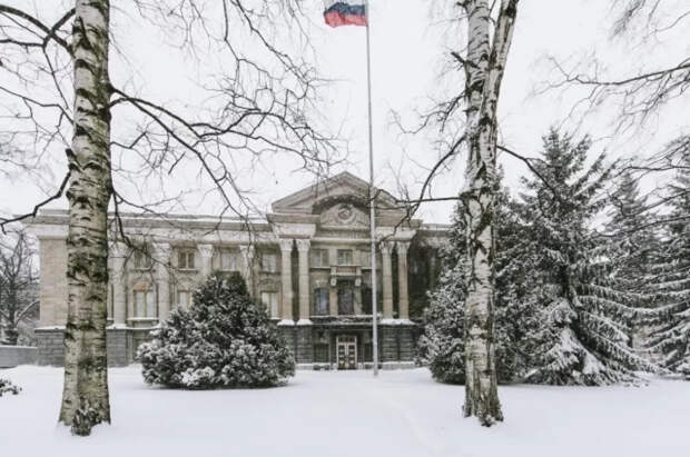 Политик Мема назвал сожжение флага РФ в Финляндии гнусным актом