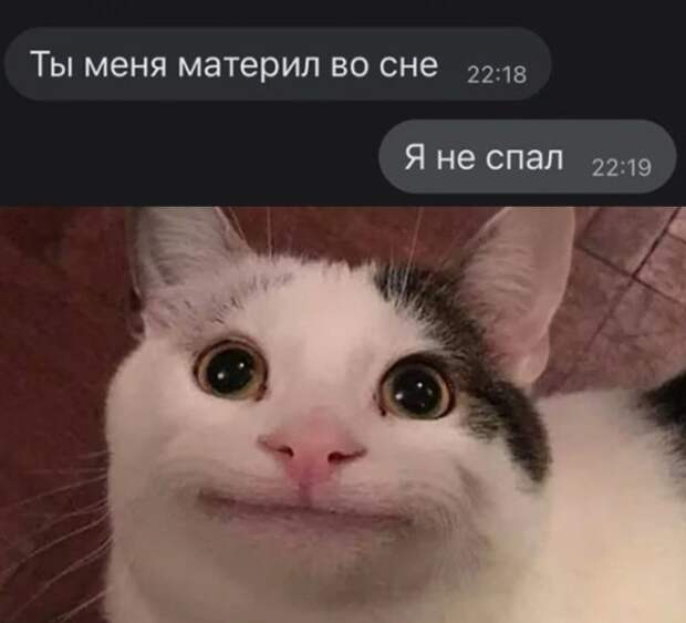 Баянисто-небаянистый юмор
