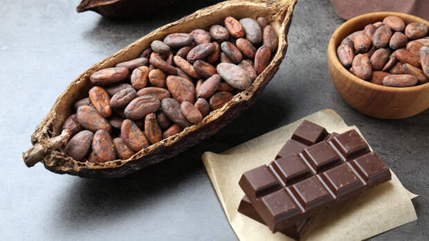 Какао в сухом остатке: изменение ГОСТа может лишить россиян классического шоколада