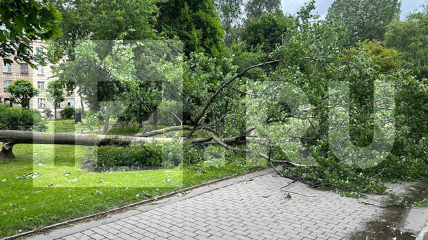 Во время шторма в Санкт-Петербурге пострадали пять человек