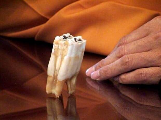 Древнейшая реликвия — Зуб Будды