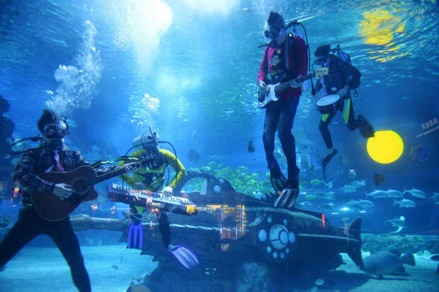 unique-festivals-around-the-world-underwater-festival-florida-keys