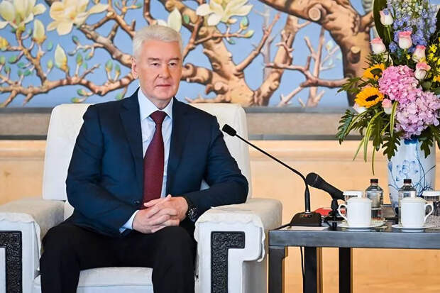 Сергей Собянин одобрил закупку 15 поездов для Центрального транспортного узла