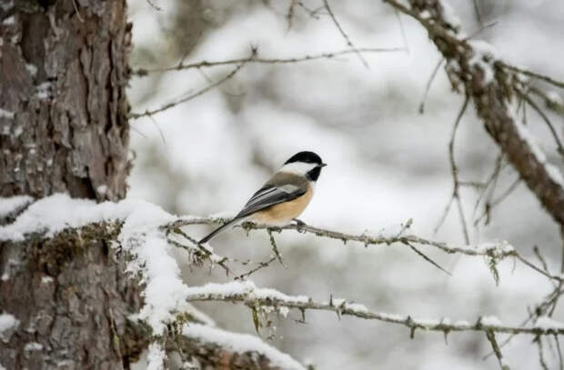 Прогноз погоды на 11 января