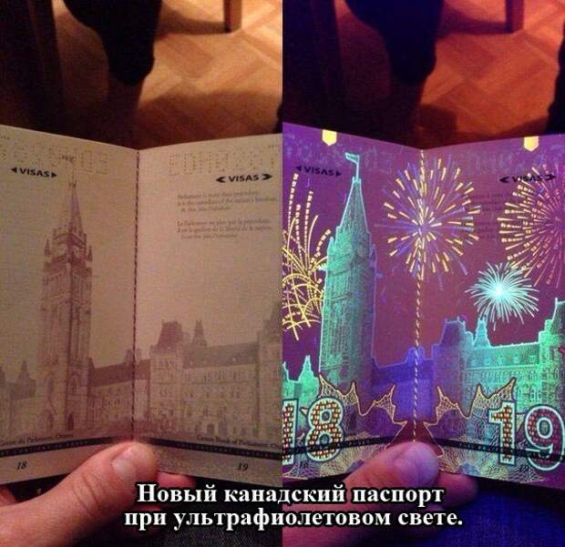Прикольные картинки (102 фото) Прикольные картинки (102 фото)