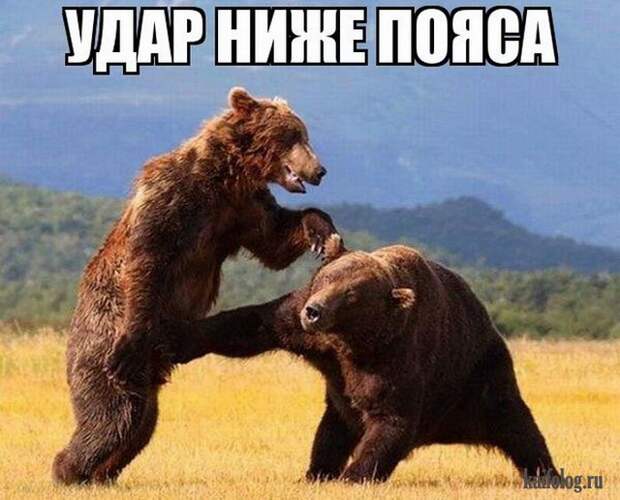 Текстовый юмор (40 открыток) Текстовый юмор (40 открыток)