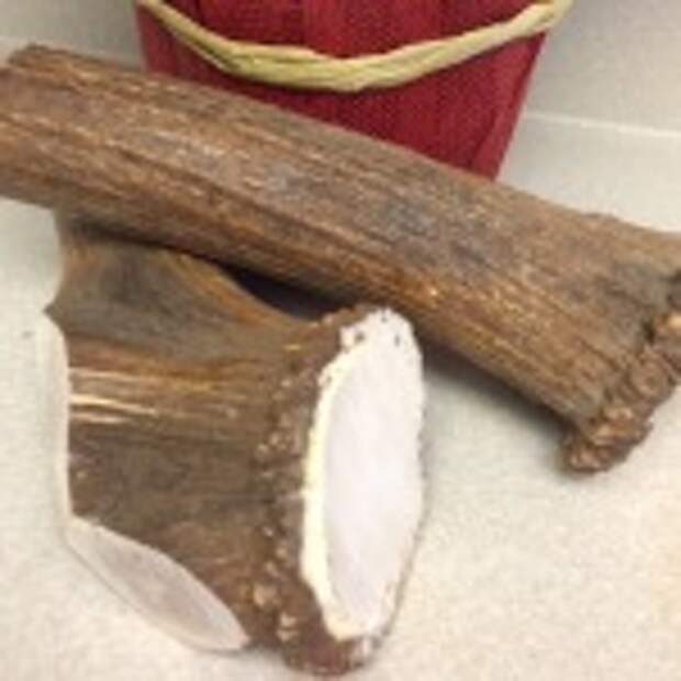 Best Bully Sticks