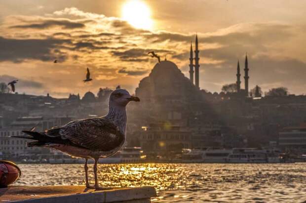 Отдых в Турции подорожает на 30-40 процентов