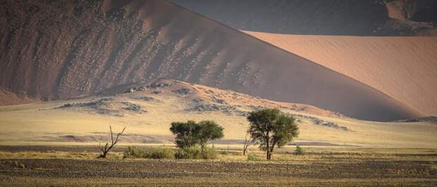 Африка. Намибия. Пустыня Намиб Соссусфлей Sossusvlei17 Африка. Намибия. Пустыня Намиб Соссусфлей