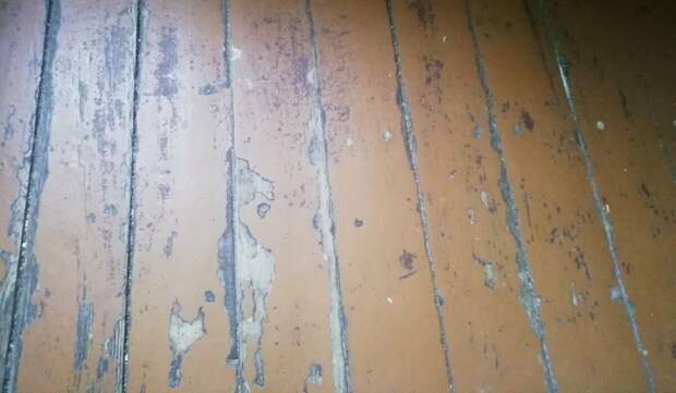 Как выровнять старый деревянный пол фанерой