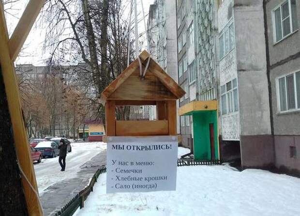 Подборка картинок. Вечерний выпуск (36 фото)