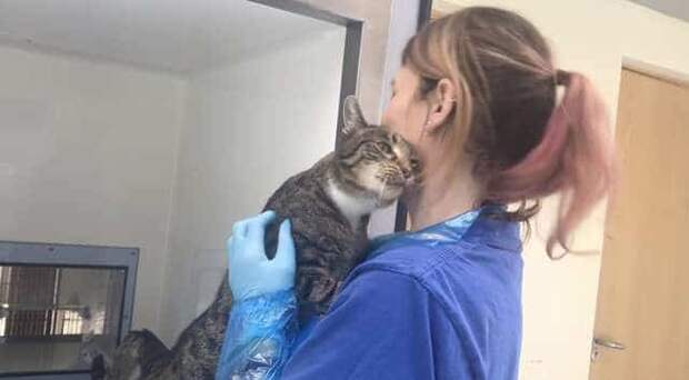 люди помогли больному коту девушка с котом
