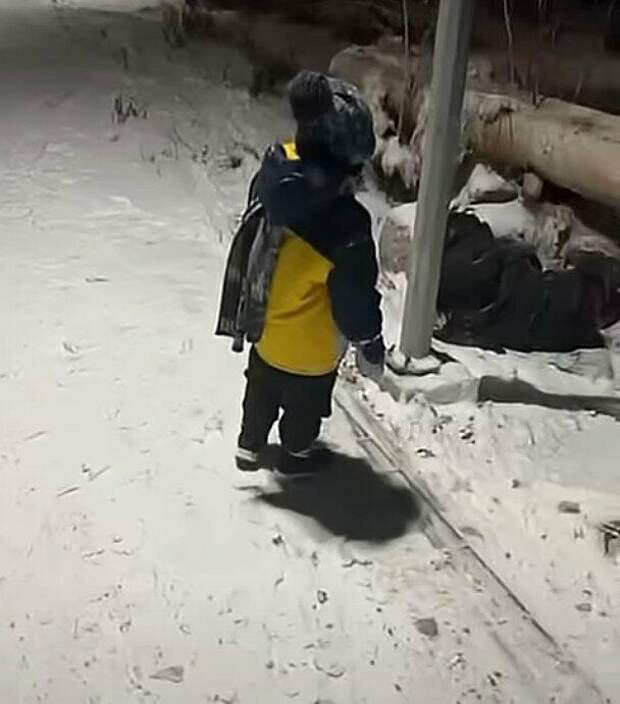 Сбив женщину в Караганде, водитель скрылся с места ДТП