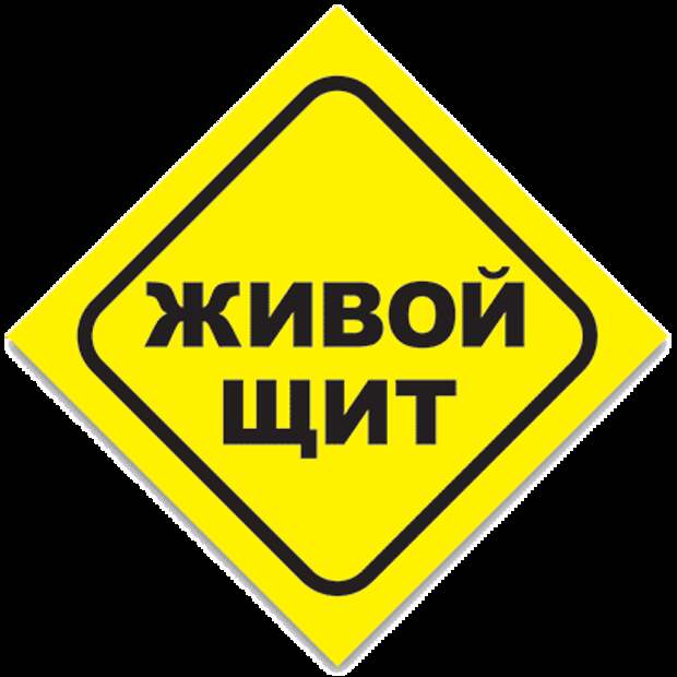 Камикадзе - герои или безумцы? Камикадзе - герои или безумцы?