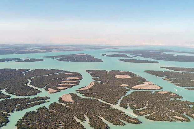 Не только нефть: мишенью ударов ближневосточной войны стала вода