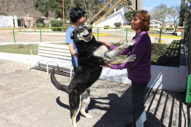 Безграничная преданность (11 фото) Безграничная преданность (11 фото)