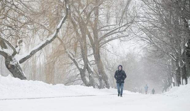 Облачная погода и до 12 градусов мороза ожидаются в Москве 26 января