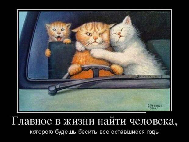 Демотиваторы (30 фото) Демотиваторы (30 фото)