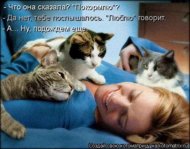 Лучшие котоматрицы недели