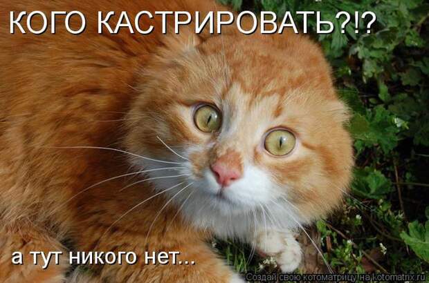 3180456_Qg (700x463, 63Kb)