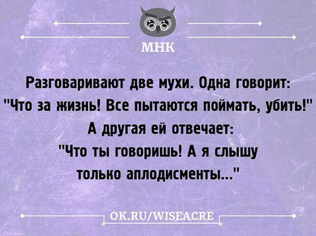 Сидели два. Анекдот про муху. Анекдоты про мух. Сидят две мухи. Встречаются две мухи.