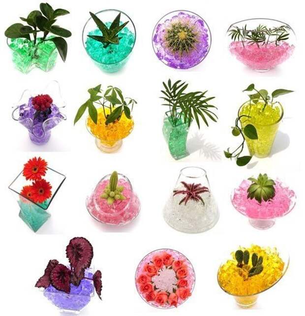 Какие цветки можно купить. Гидрогель для растений. Цветы в гидрогеле. Аквагрунт для цветов. Гелевые шарики для цветов.