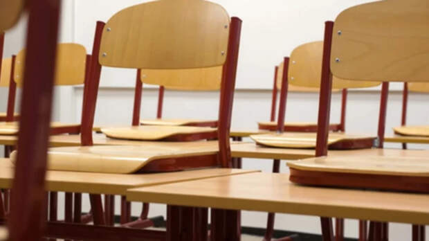 На шторы, ремонт и охрану. За что не должны платить родители школьников?