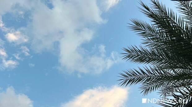 МЭР рекомендует россиянам отказаться от поездок на Кубу