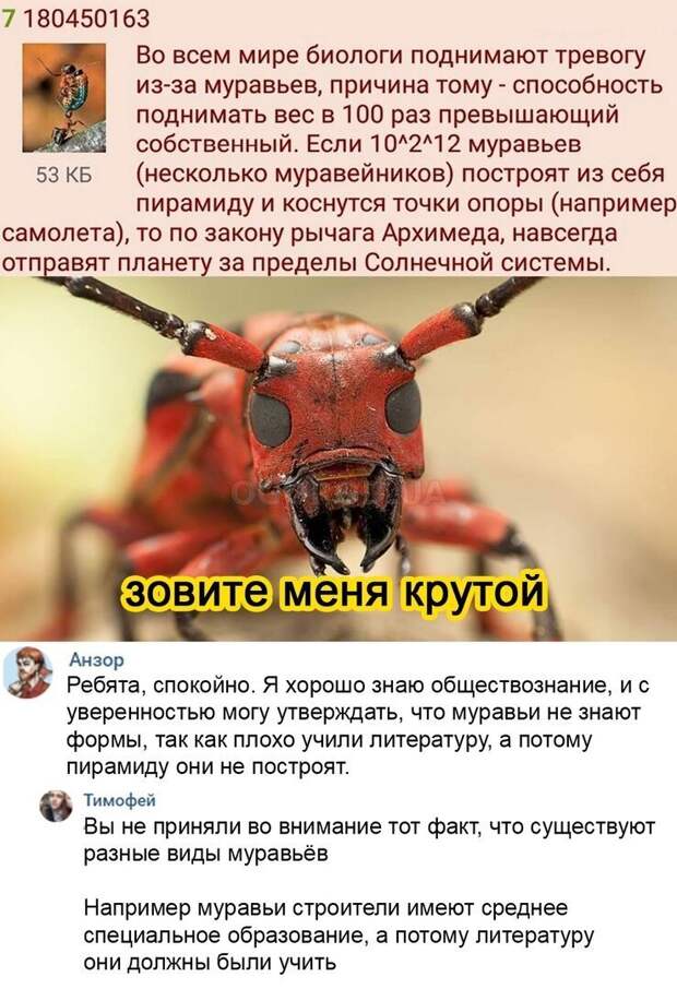 Комментарии и картинки из соцсетей