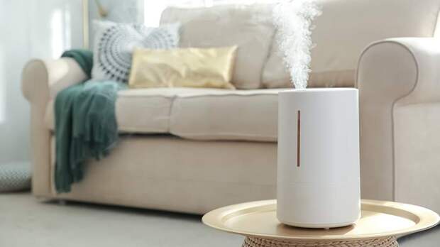 Врач предупредила о вреде для глаз из-за увлажнителя воздуха