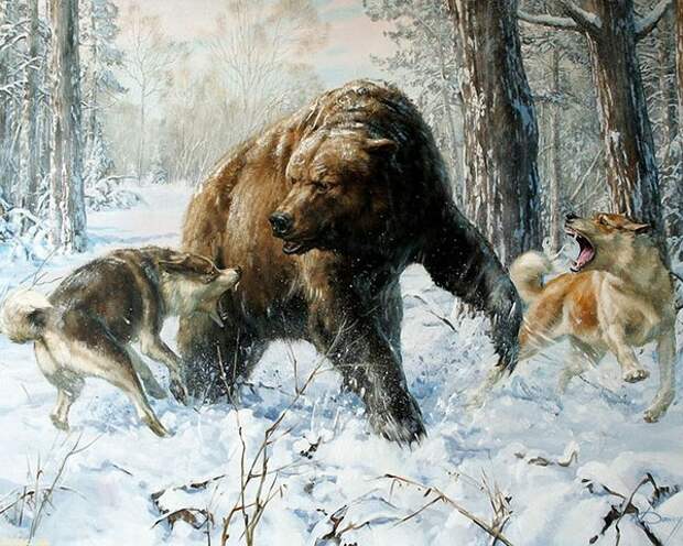 Рисунок: @ru.wallfon.com/walls/animals/fighting-bear-dogs-painting.jpg