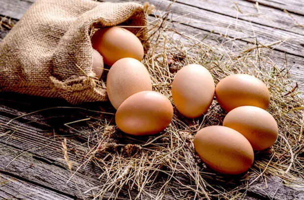 Польза яиц для организма