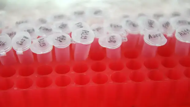 В Свердловской области прокомментировали ситуацию с заболеваемостью COVID-19