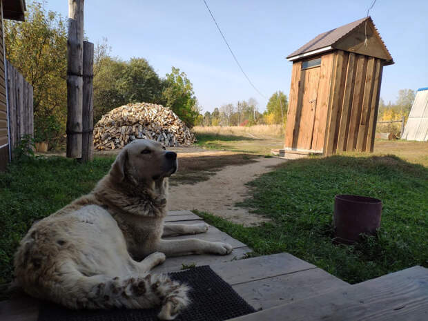 С 1 марта вступают в силу новые земельные правила для владельцев дач