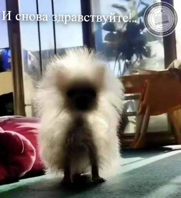 И снова здравствуйте