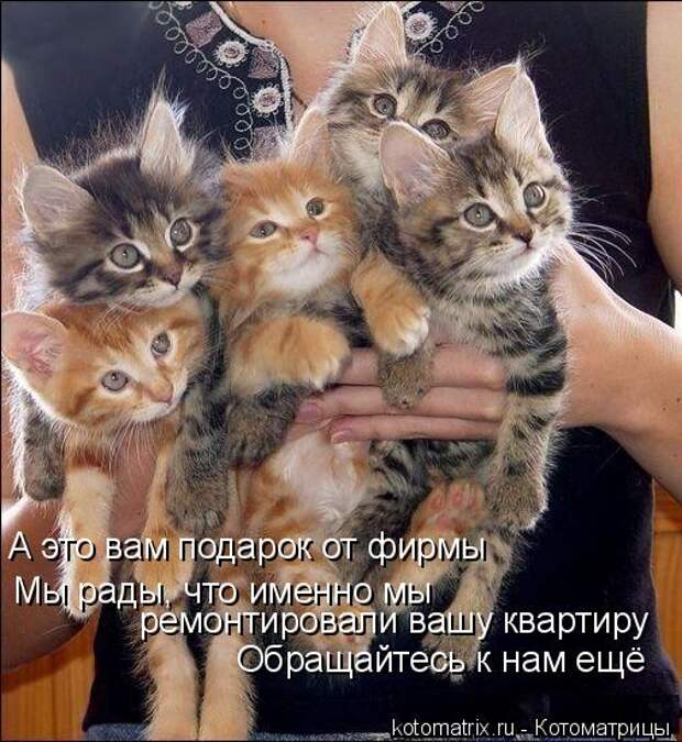 Котоматрица: Мы рады, что именно мы  ремонтировали вашу квартиру Обращайтесь к нам ещё А это вам подарок от фирмы