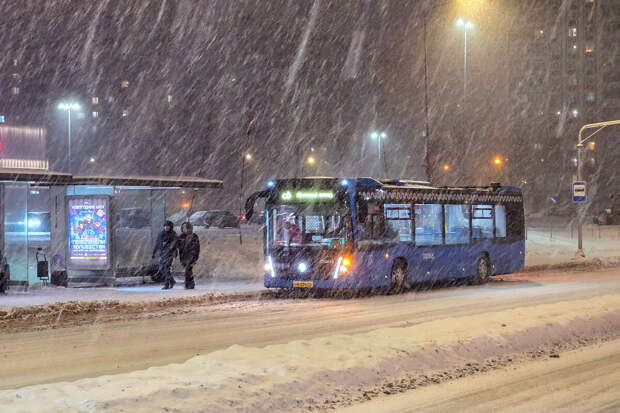 Синоптик Леус: предстоящие снегопады в Москве вызовут скачки давления