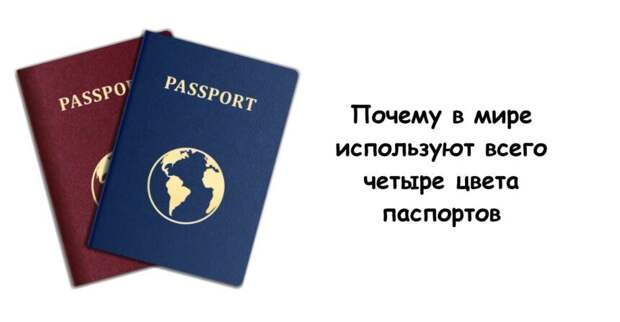 Почему в мире используют всего четыре цвета паспортов