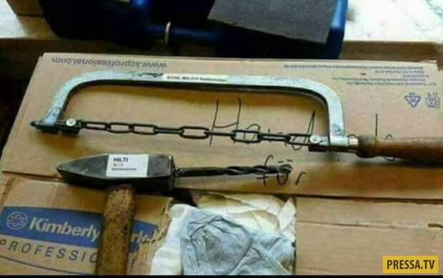 Прикольные фотографии