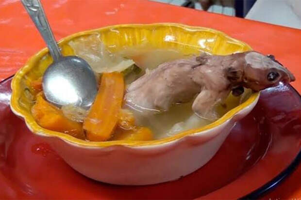 Oddity Central: суп из крысы стал визитной карточкой кафе в Мексике