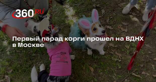 В Москве впервые провели костюмированный парад корги