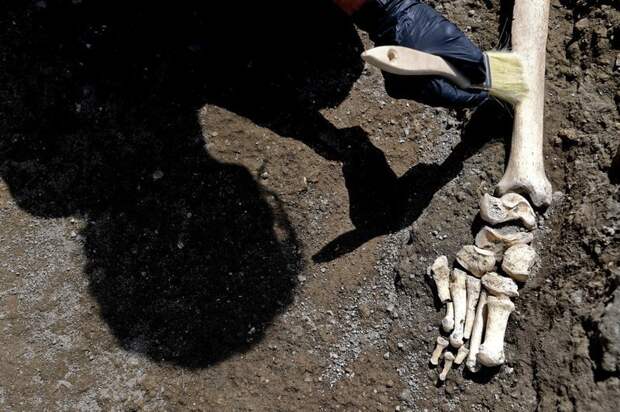 Генеральный директор археологического памятника Помпеи Массимо Осанна назвал открытие «драматическим и исключительным» археологи, везувий, вулкан, извержение, помпея, скелет, ученные