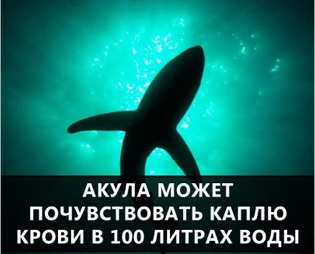 Удивительные факты в мире, факты