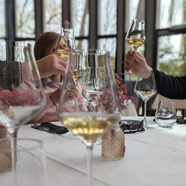 Россиянам назвали способную испортить вкус качественного вина причину