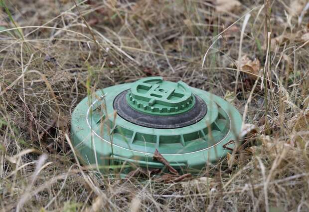 Стало известно о маскировке мин ВСУ под растительность