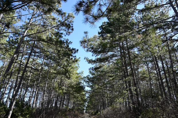 Погода 20 февраля: днём до +12